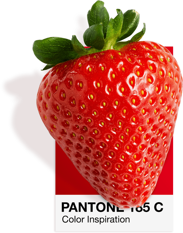 Aardbei op een Pantone 185 C-kleurenkaart, het Vatra-rood